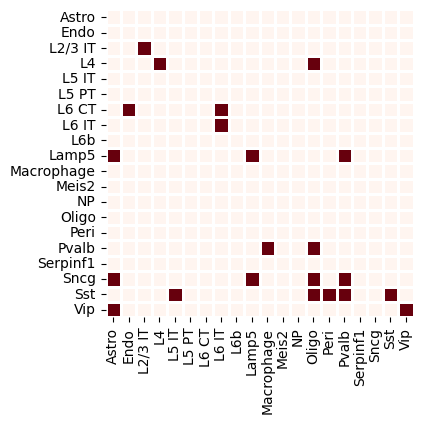../_images/notebooks_tutorial_mouse_visium_cortex_16_1.png